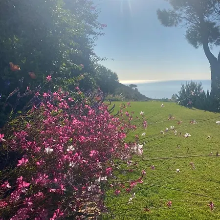 Villa With Private Pool, Amazing Sea Panorama And Private Garden Domus De Maria